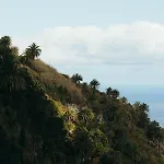 Chalet Casitas Del Bebedero - Yoga&ecoturismo