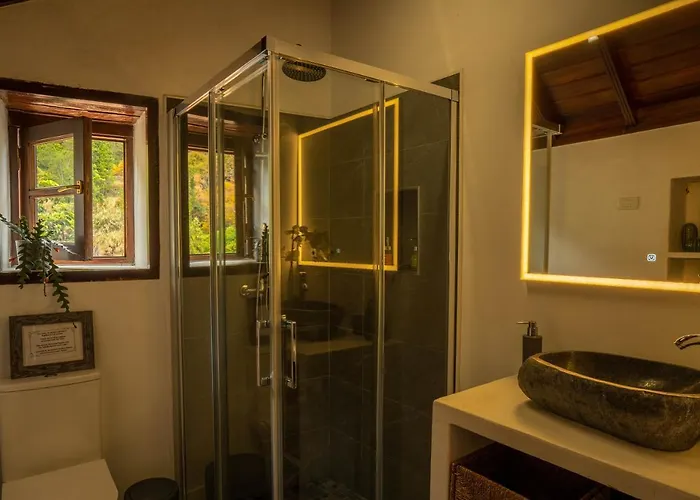 Casitas Del Bebedero - Yoga & Ecoturismo בקתה איקוד דה לוס וינוס