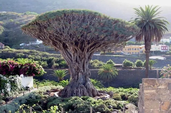 Horská chata Casitas Del Bebedero - Yoga & Ecoturismo *